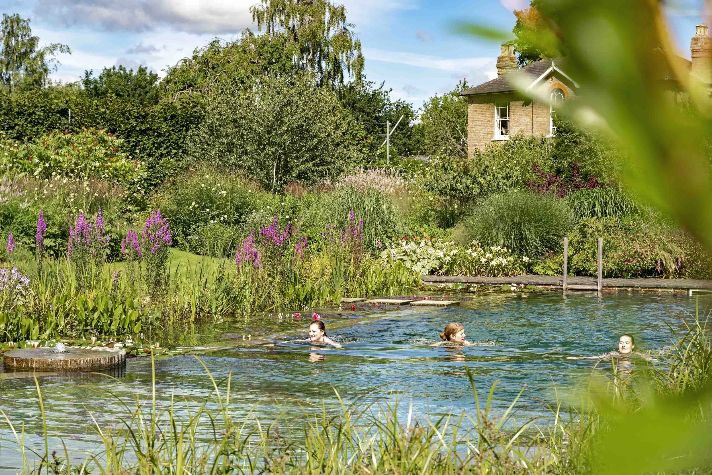 Waterscaping: A guide to Natural Swimming Pools