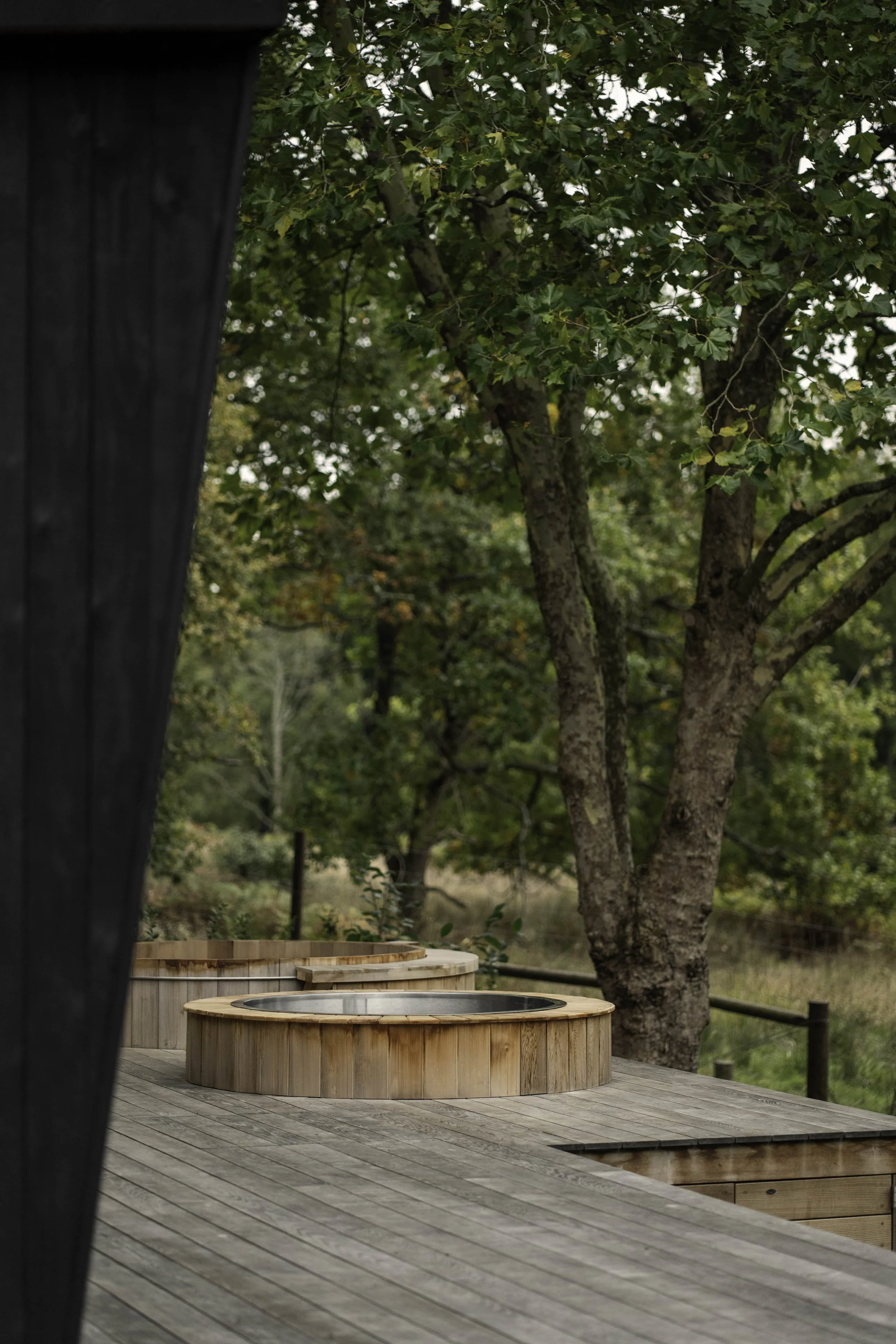 Heartwood-0210-75.jpg