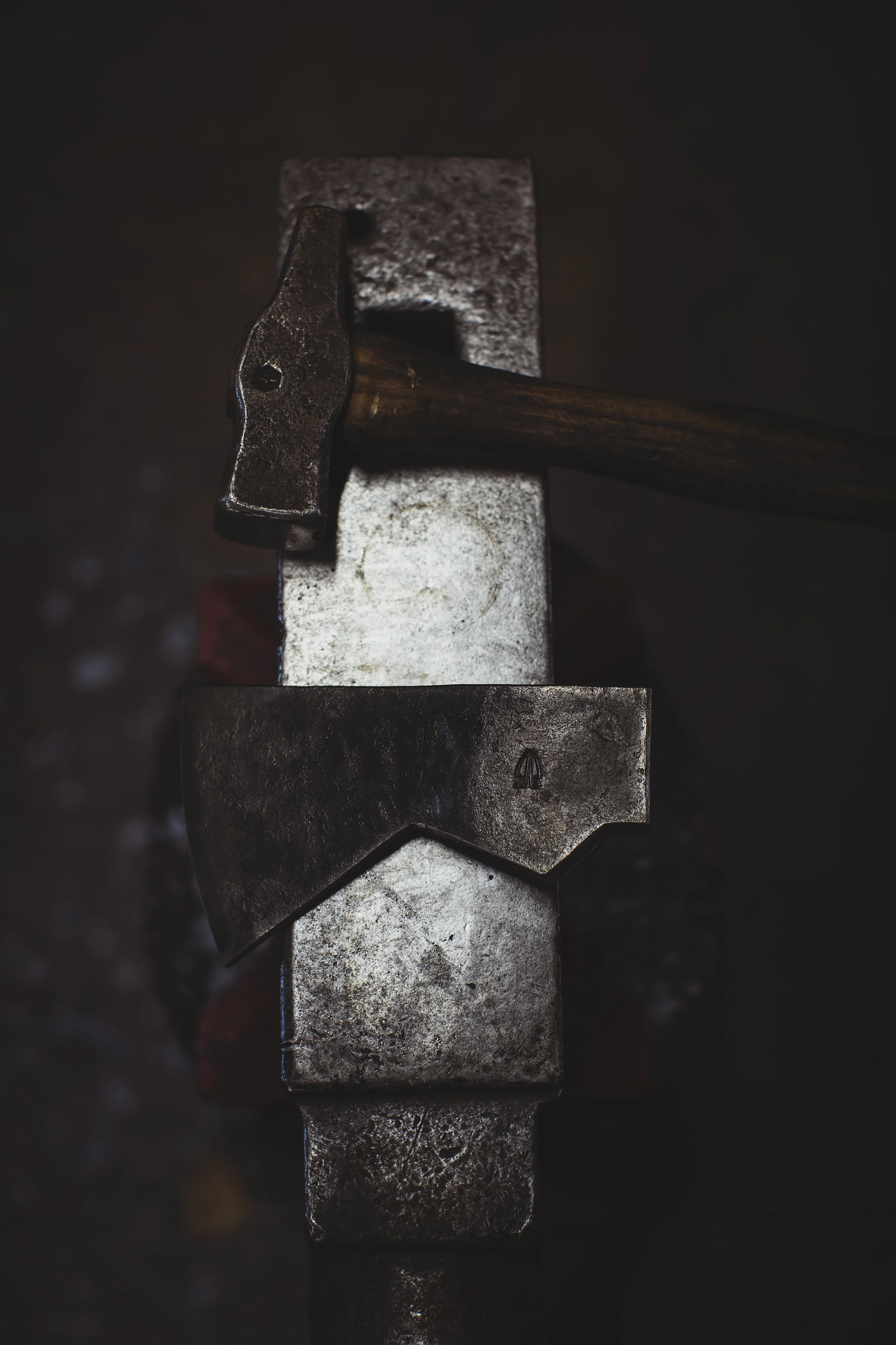 Heather_Birnie_Heartwood_Saunas_Thorn_Wood_Forge_Axes_122.jpg