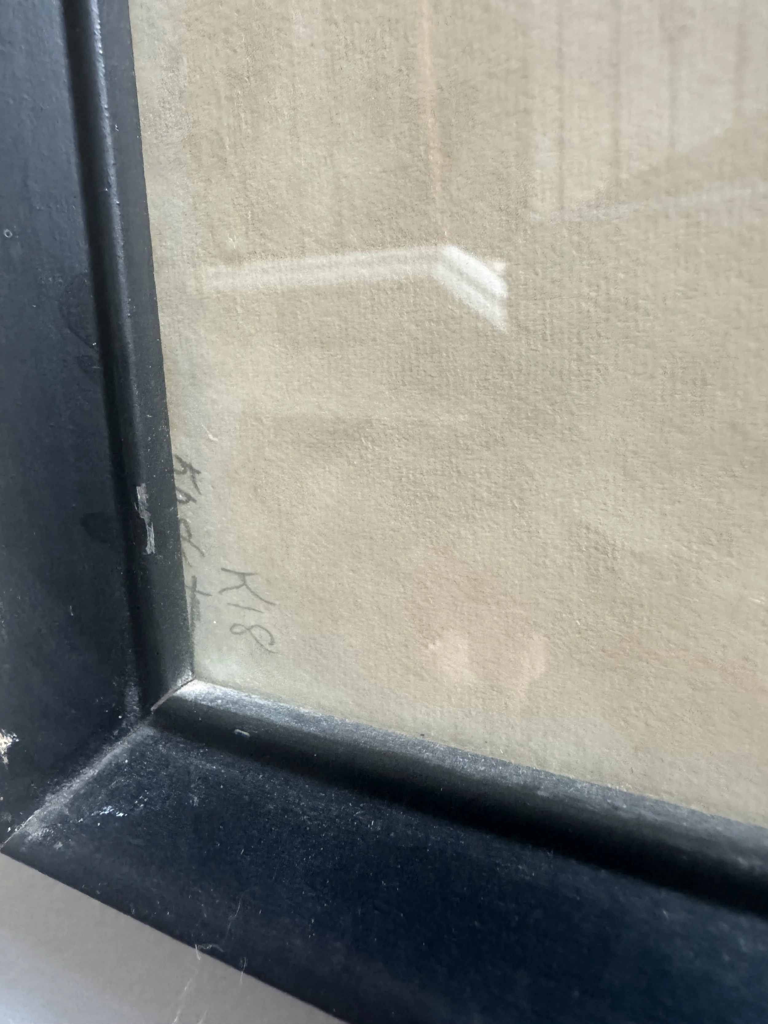 IMG_2025.jpeg