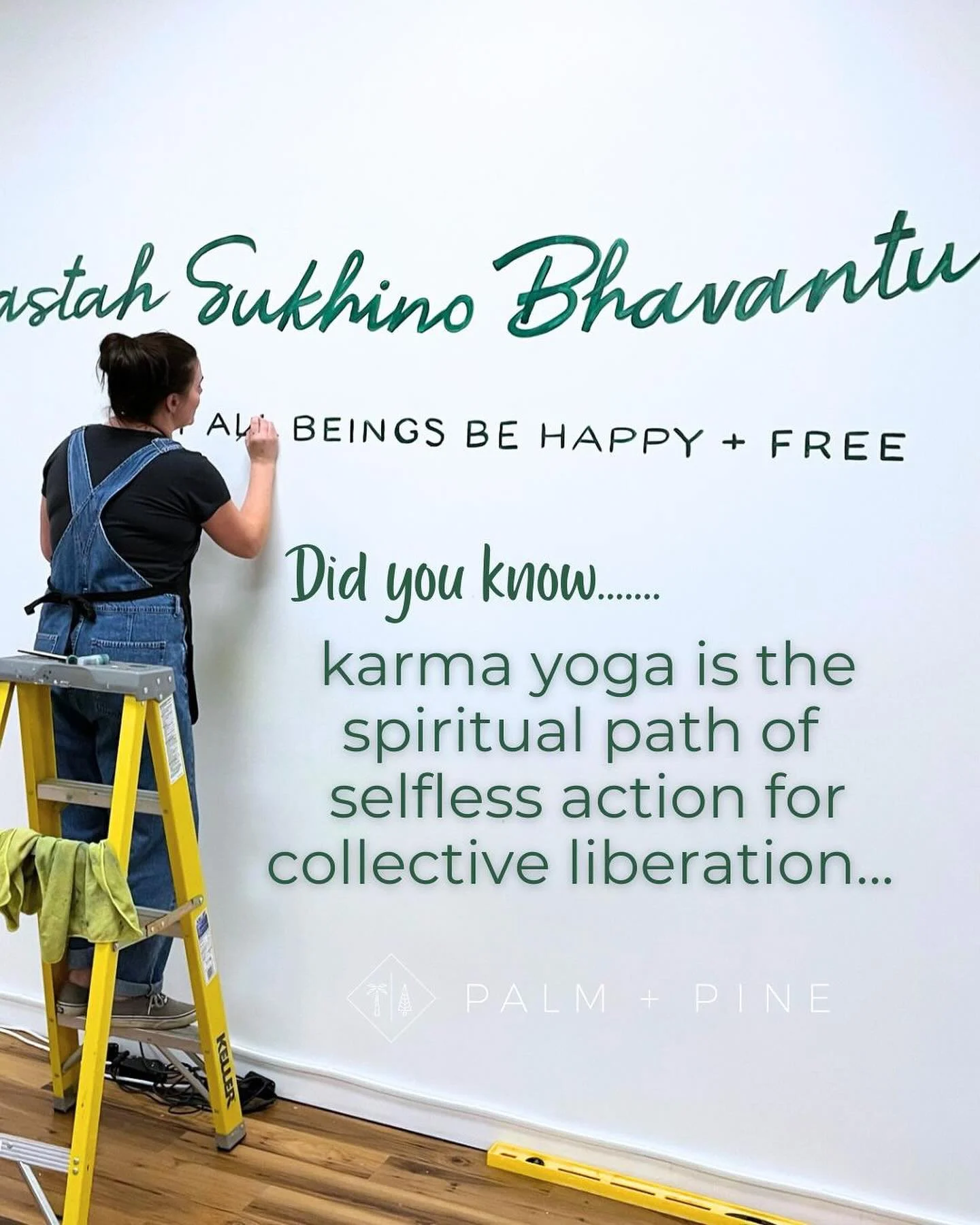 At PALM + PINE, we know yoga isn’t isolated to the mat, it extends into how we show up in the world and reminds us how deeply interconnected we are. As people feel the impact of the current government shutdown, this is a moment to show up for e