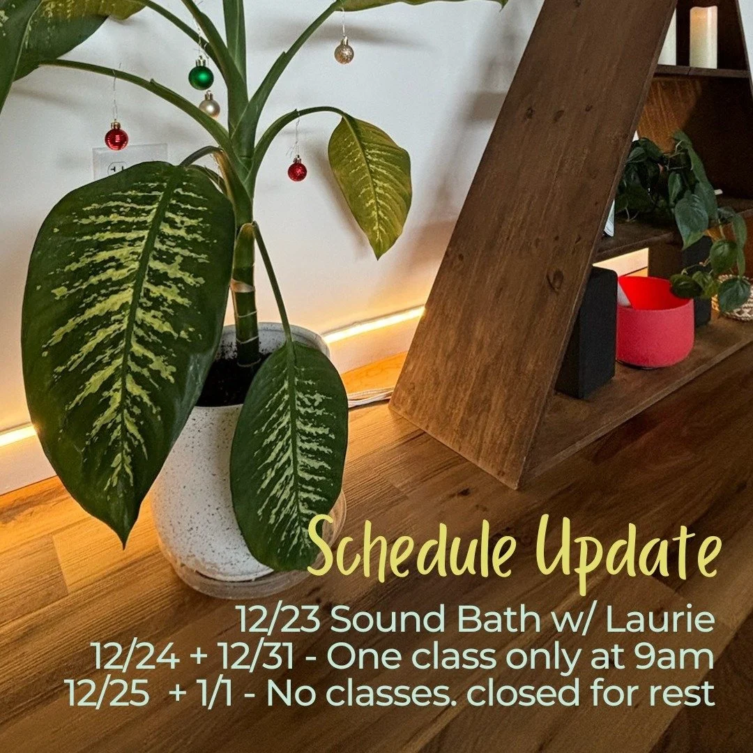 Wishing you and yours comfort and joy! With love + gratitude, your friends at PALM + PINE

Schedule highlights this week &amp; next:
12/23 Sound Bath with Laurie
 12/24 + 12/31 &ndash; One class only at 9:00 AM
 12/25 + 1/1 &ndash; No classes, studio
