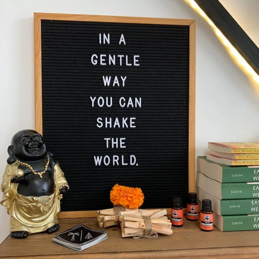 Intentions are about remembering what truly matters and moving forward. 

We share simple rituals for working with Sankalpa, or heart-felt intentions, in our blog. These practices are meant to feel supportive, not demanding. It's a tool to lean on th