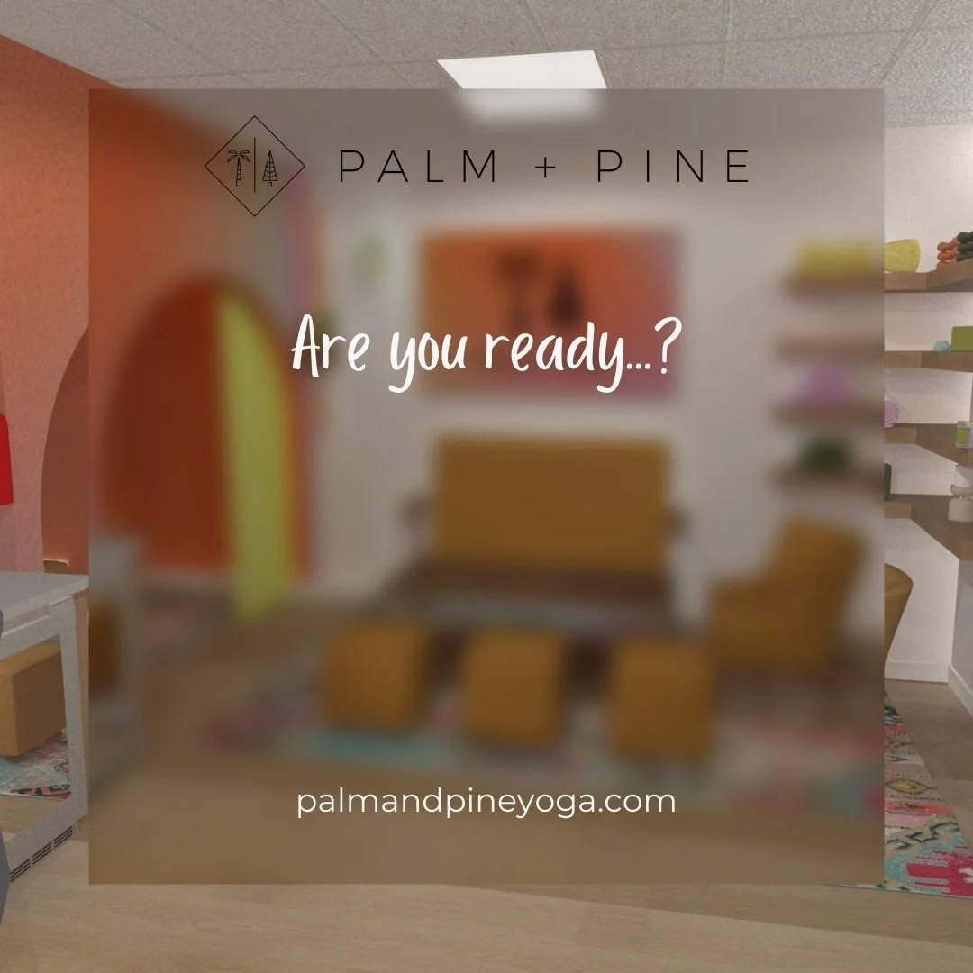 Something new is dropping tomorrow! 👀

Head over to our website and subscribe to our newsletter to get an exclusive first look at the designs for our new studio space! 

#YogaThroughCommunity #PalmAndPineYoga #YogaNearMe #GrandOpening #NewStudio