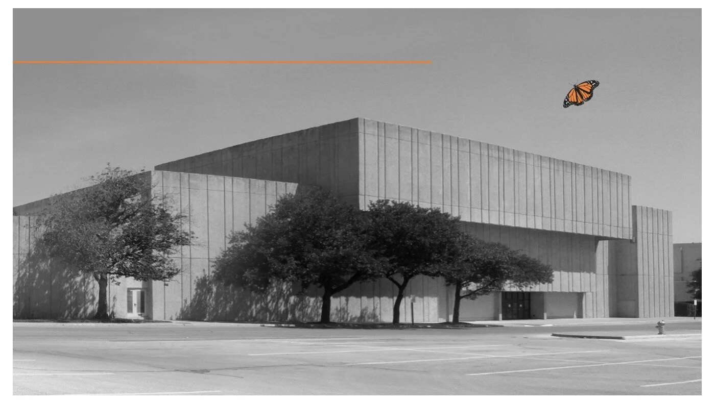 New Life for Deadmalls: Recommendations for Successful Transformation