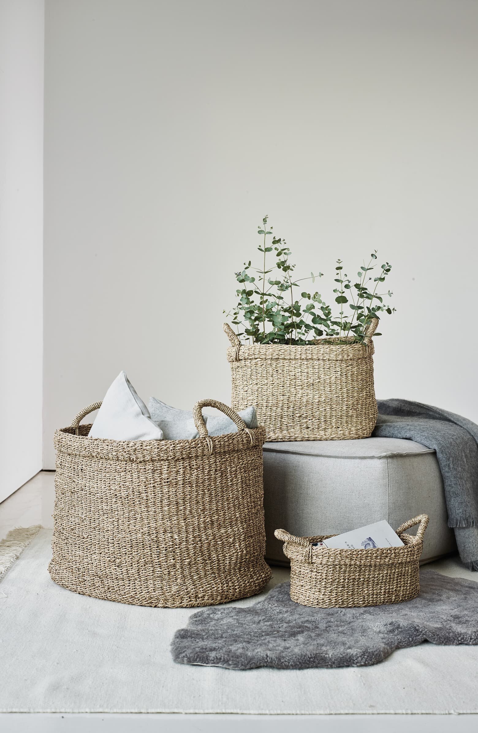 Seagrass Planter