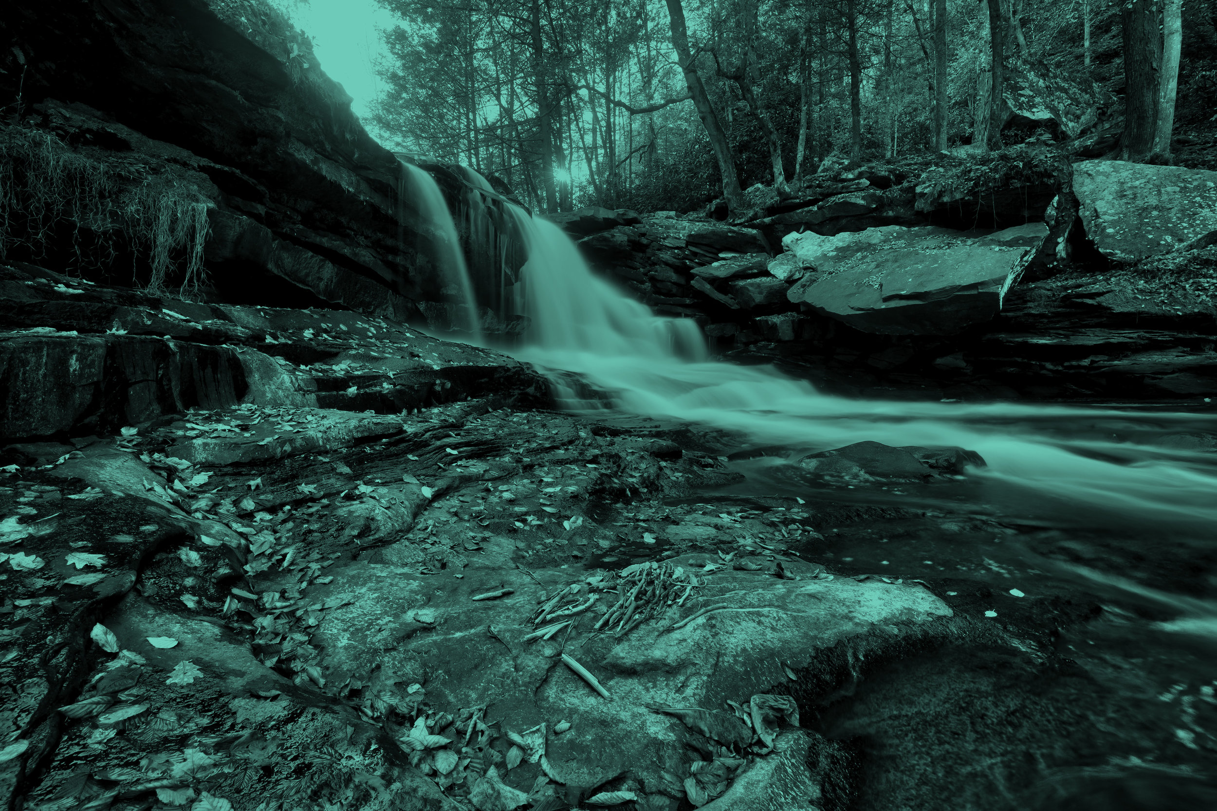 Headwaters_home.jpg