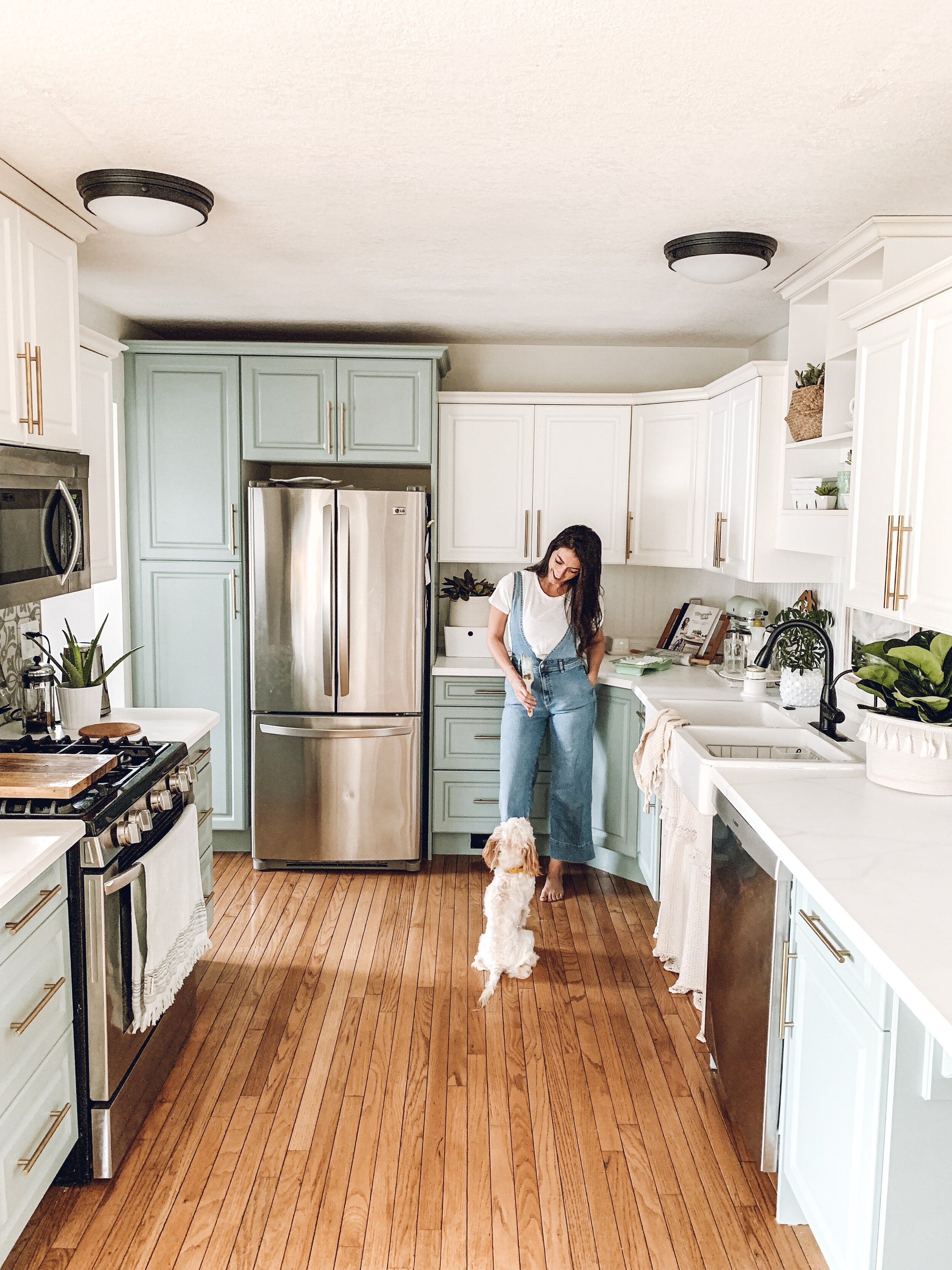 Diy Painted Kitchen Cabinet Makeover The Beauty Revival