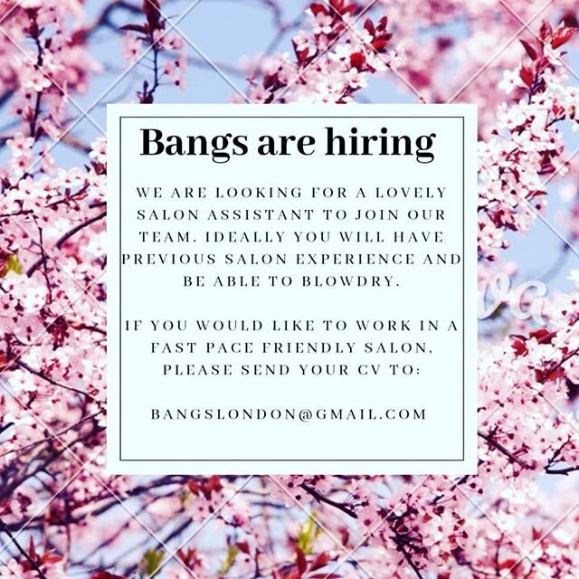 We are looking for a new Assistant to join the team at Bangs. Please share or tag anyone you think may be interested. Please send your CV to bangslondon@gmail.com. #recruitment #salonassistant #bangslondon #BangsE17