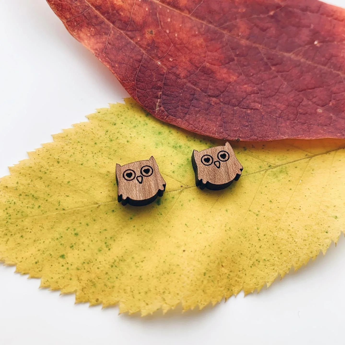 Fall has flown like these owls🦉

Solid wood and surgical steel fall favs