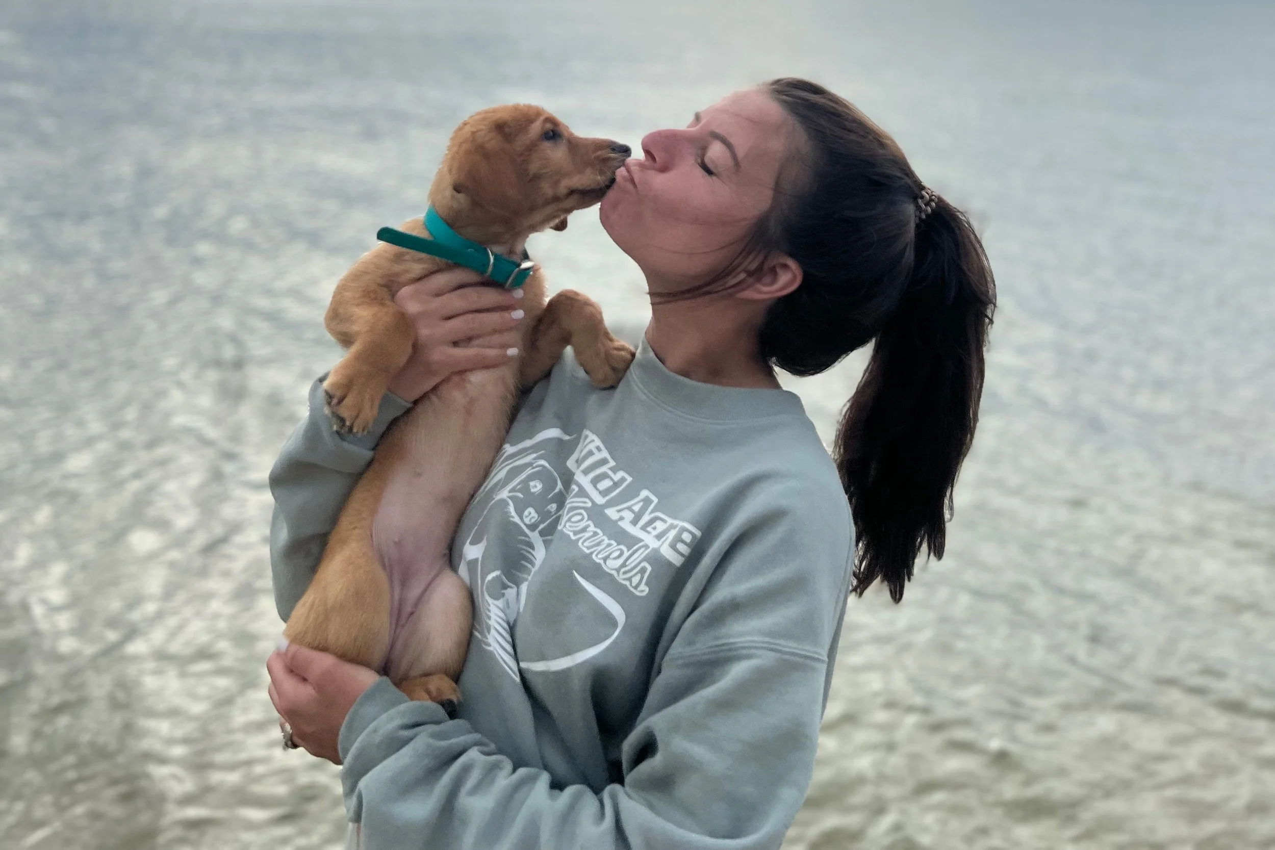 The Wild Acre Kennels Difference: Real Stories from Our Client Family