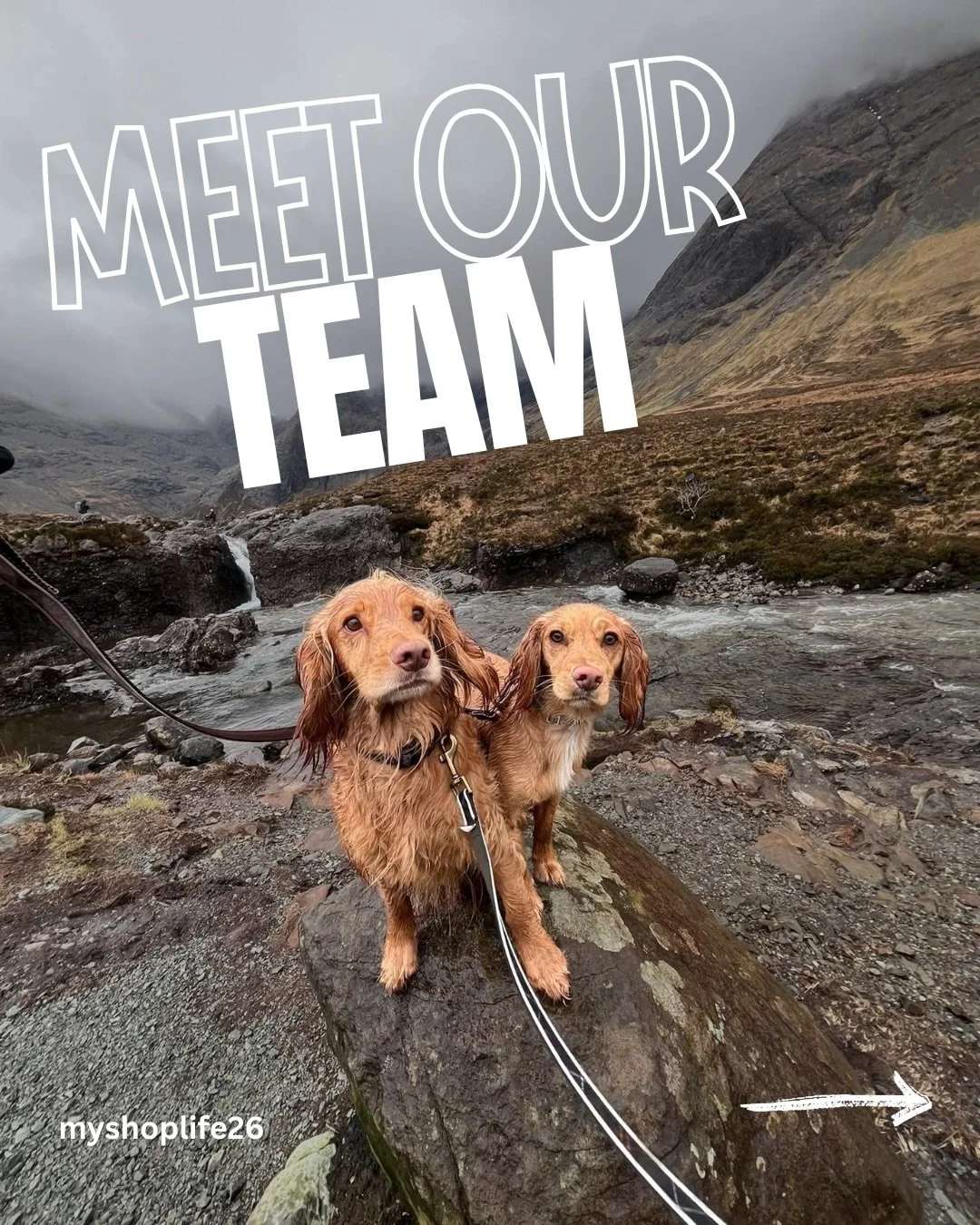 Obviously the dogs stole the show on this one 🐾

#myshoplife26 &ndash; Meet the Team

Sally (me 👋) &ndash; shop owner, idea generator, chaos coordinator.
Most of it lives in my head&hellip; alongside at least 4 notebooks on the go at any given time