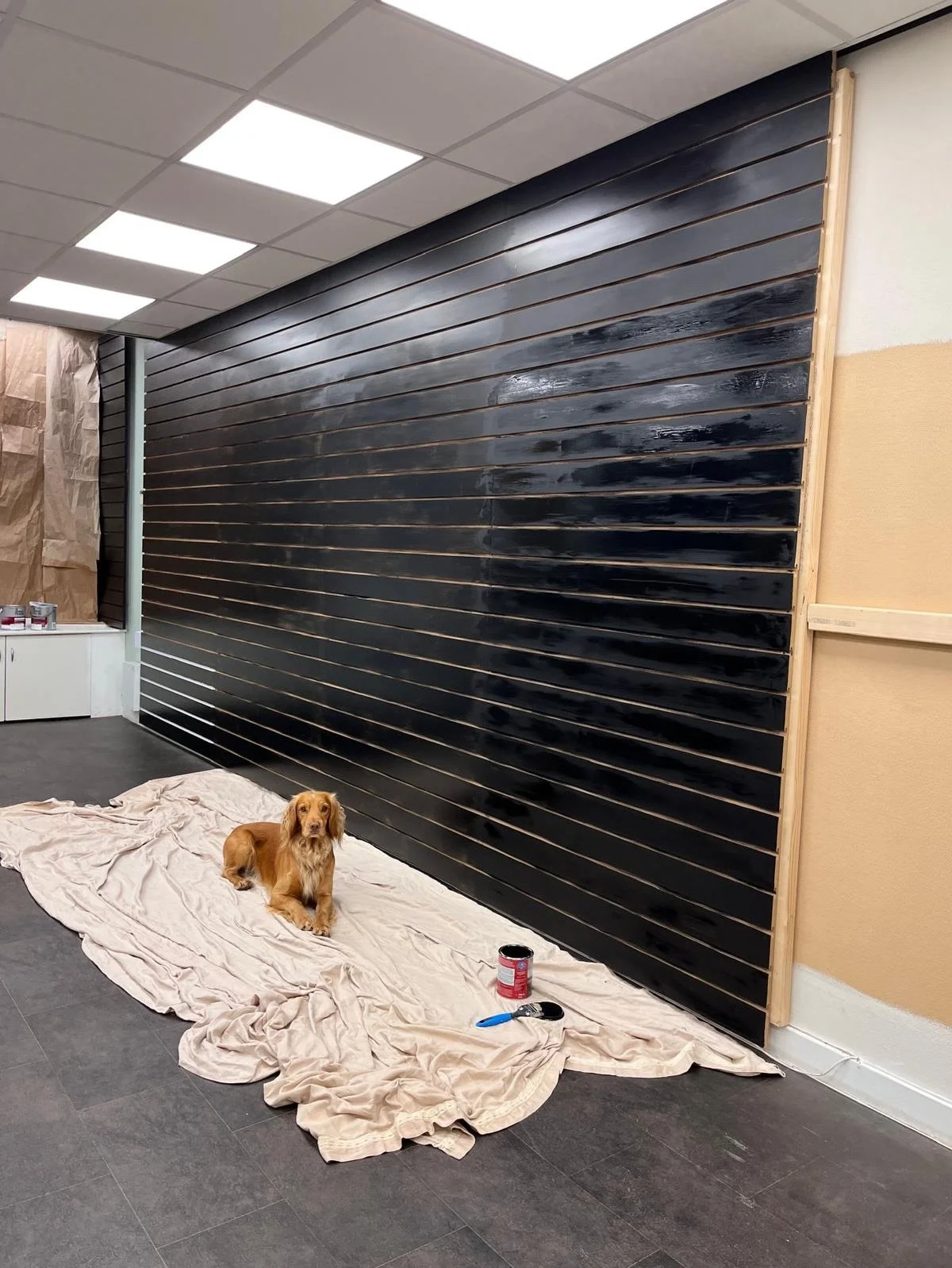 Throwback Thursday 😳 Skedaddle Speyside wasn&rsquo;t always filled from floor to ceiling with running kit. 

Infact , if you swipe to the end we opened our doors back in&rsquo;23 with those 9 pairs of shoes and not a clue how much stock people would