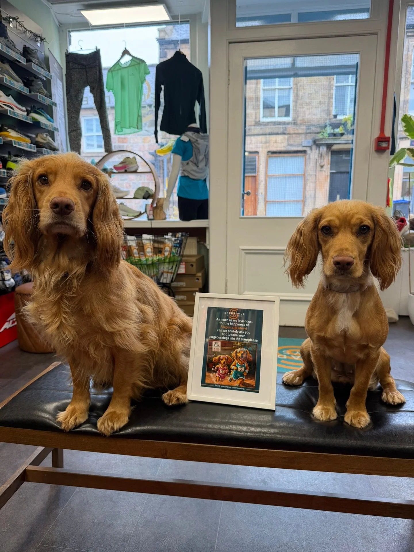 If last week was anything to go by this weekend is going to be CRAZY&hellip;. So we have a little message for you and your doggo, doggies, fur babies&hellip; we love you, but we aren&rsquo;t quite equipped for you 🙁🐾

As much as we LOVE saying hi, 