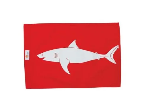 Shark_280008-1_530x-500x375.jpg