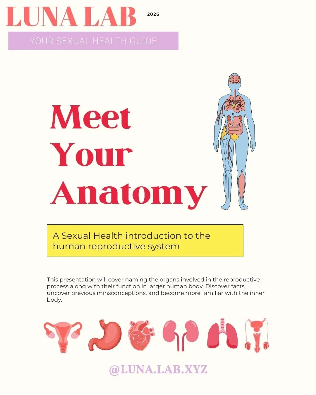 Meet Your Anatomy
