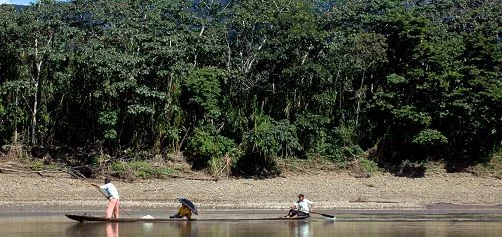 There are contracts to explore 11 of the 22 protected areas