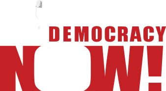 After Evo: As Right-Wing Senator Declares Herself President, What’s Next for Bolivia?