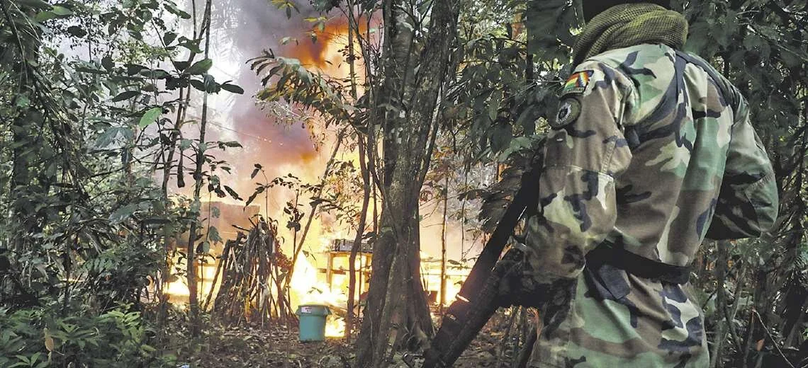 Drug trafficking penetrates eight protected areas with 'mega-laboratories' - Bolivia News