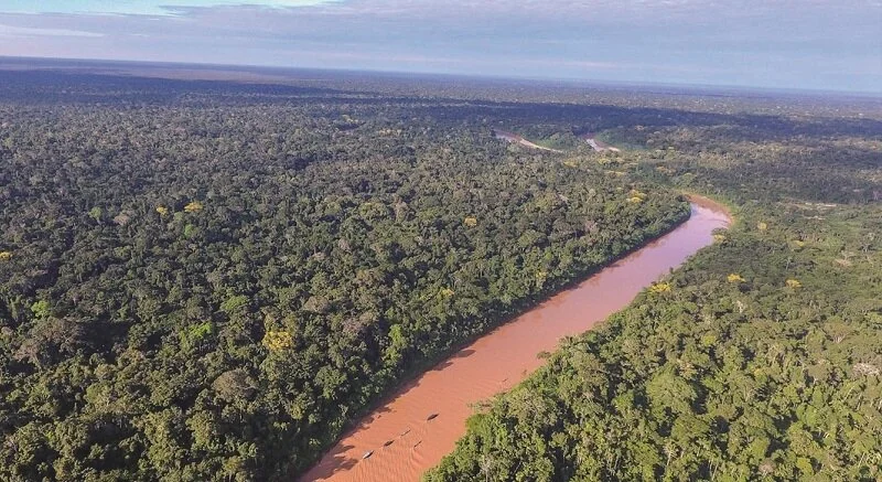 Madidi, the «Sistine Chapel» of nature