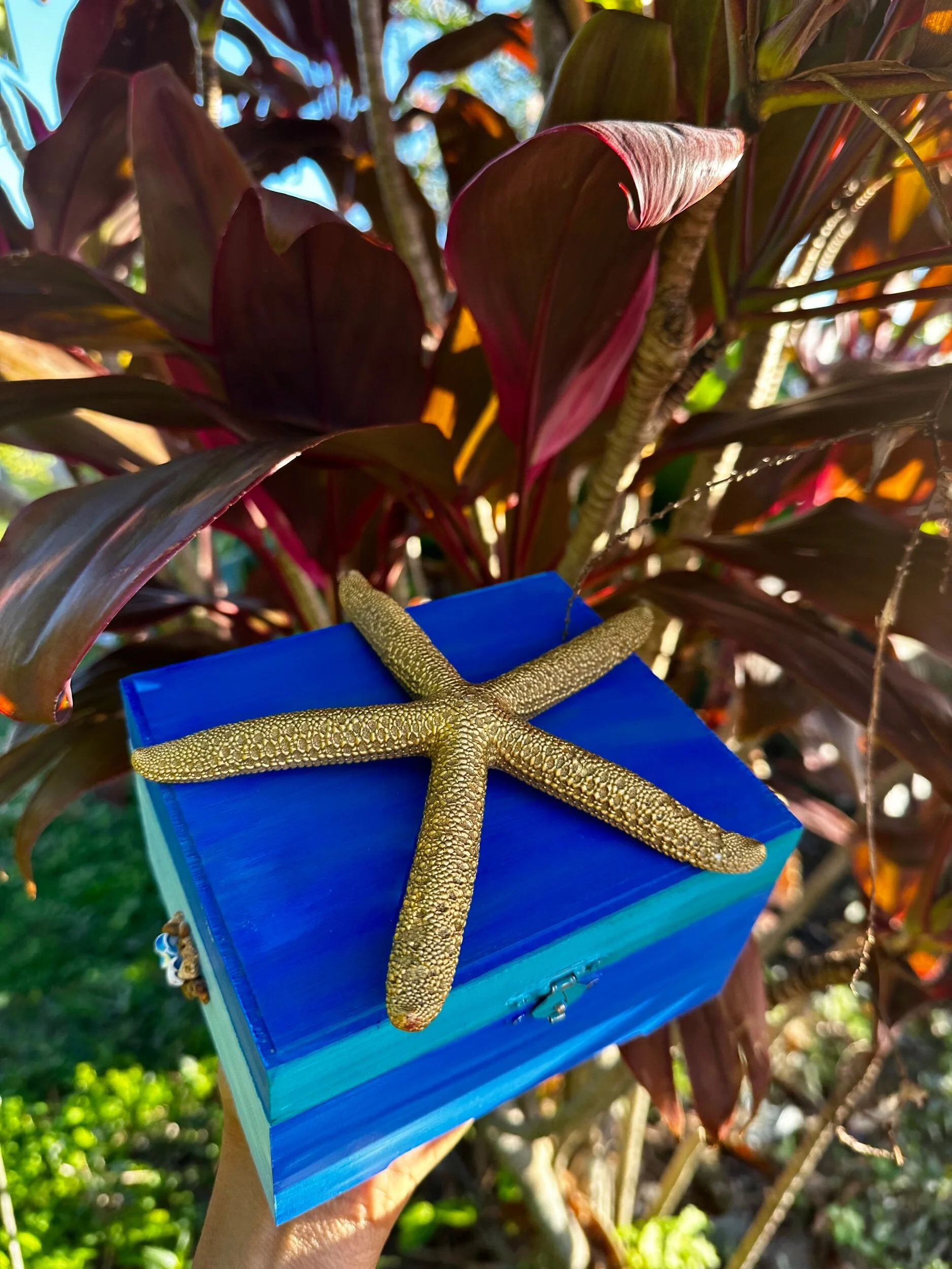 1359BE2C-D2B7-407D-A812-34D867C8CB98