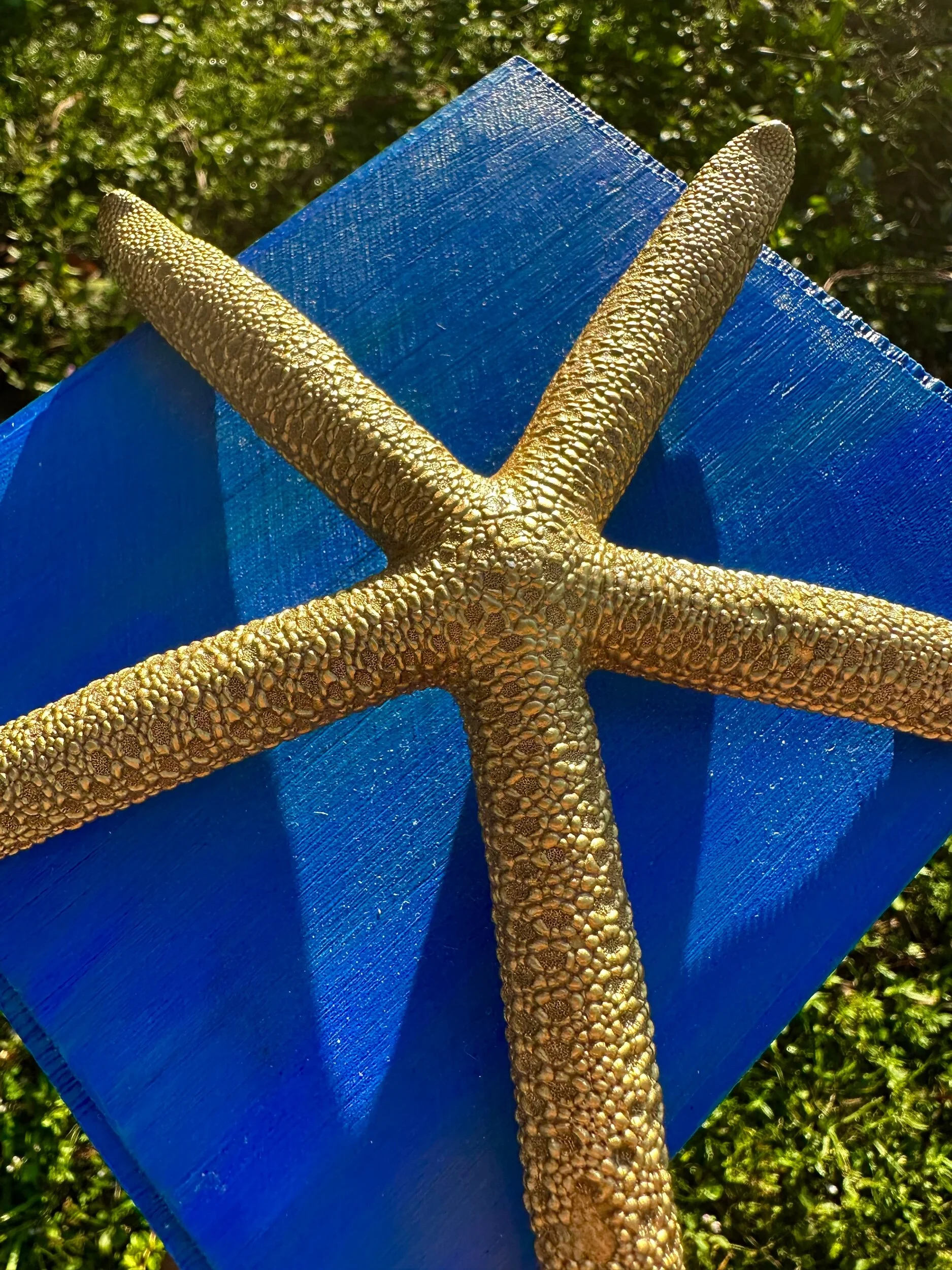 C5389352-2A98-41C6-AE6D-D64B4534925D