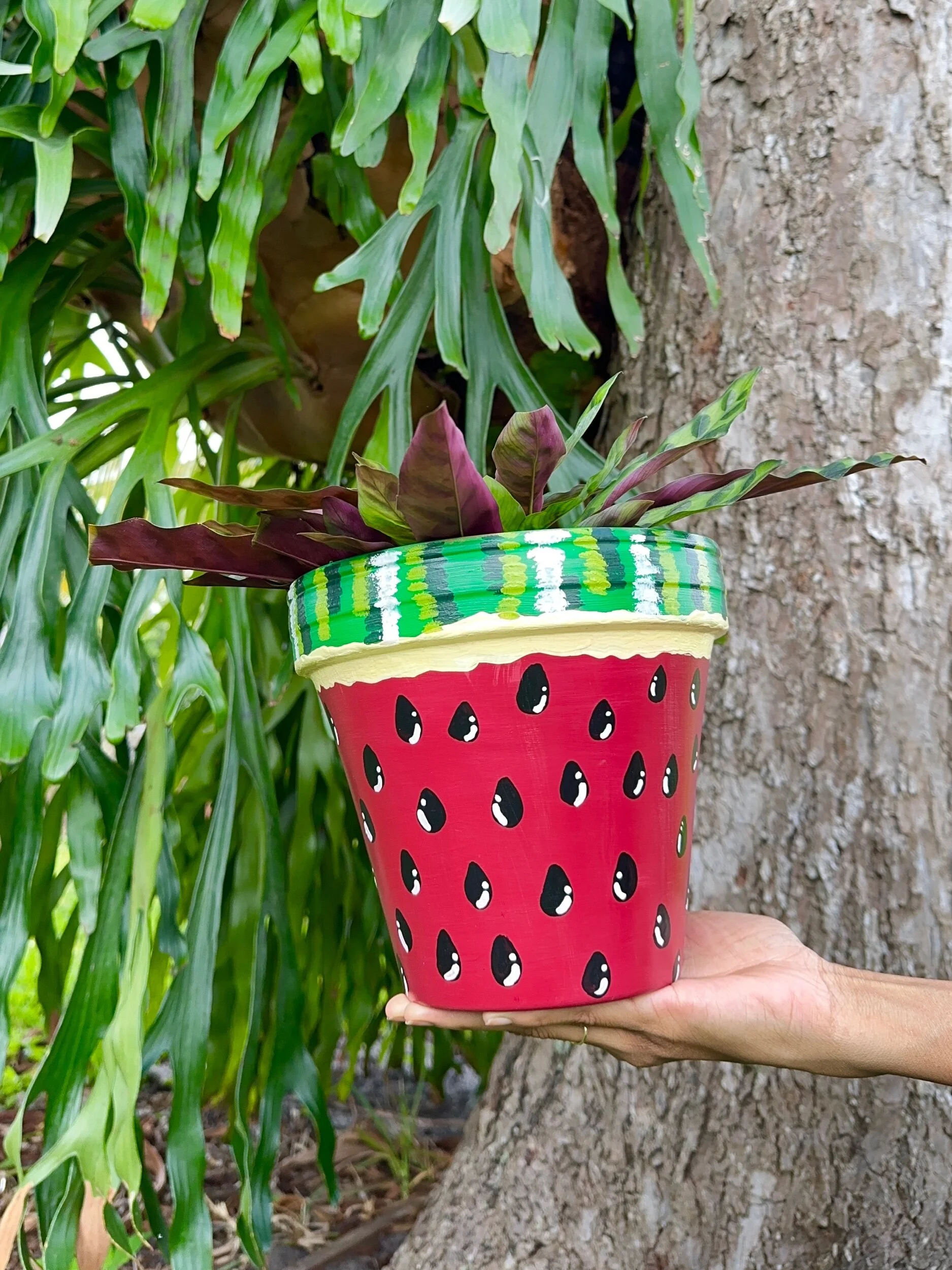 AEB980CA-9B6C-431A-8D41-D6F97FAA4D18