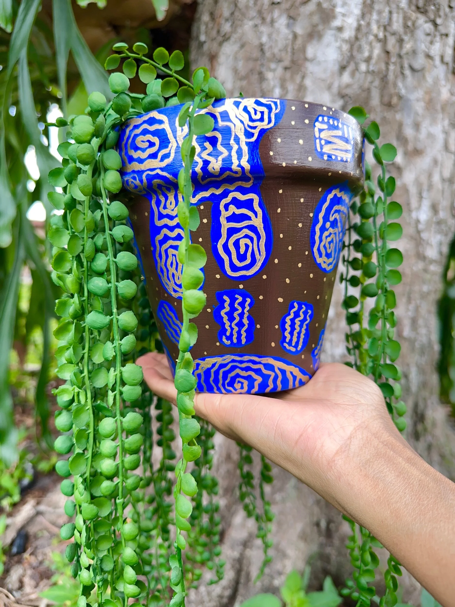 1E2F7148-360A-4456-8876-568AEF856A2F