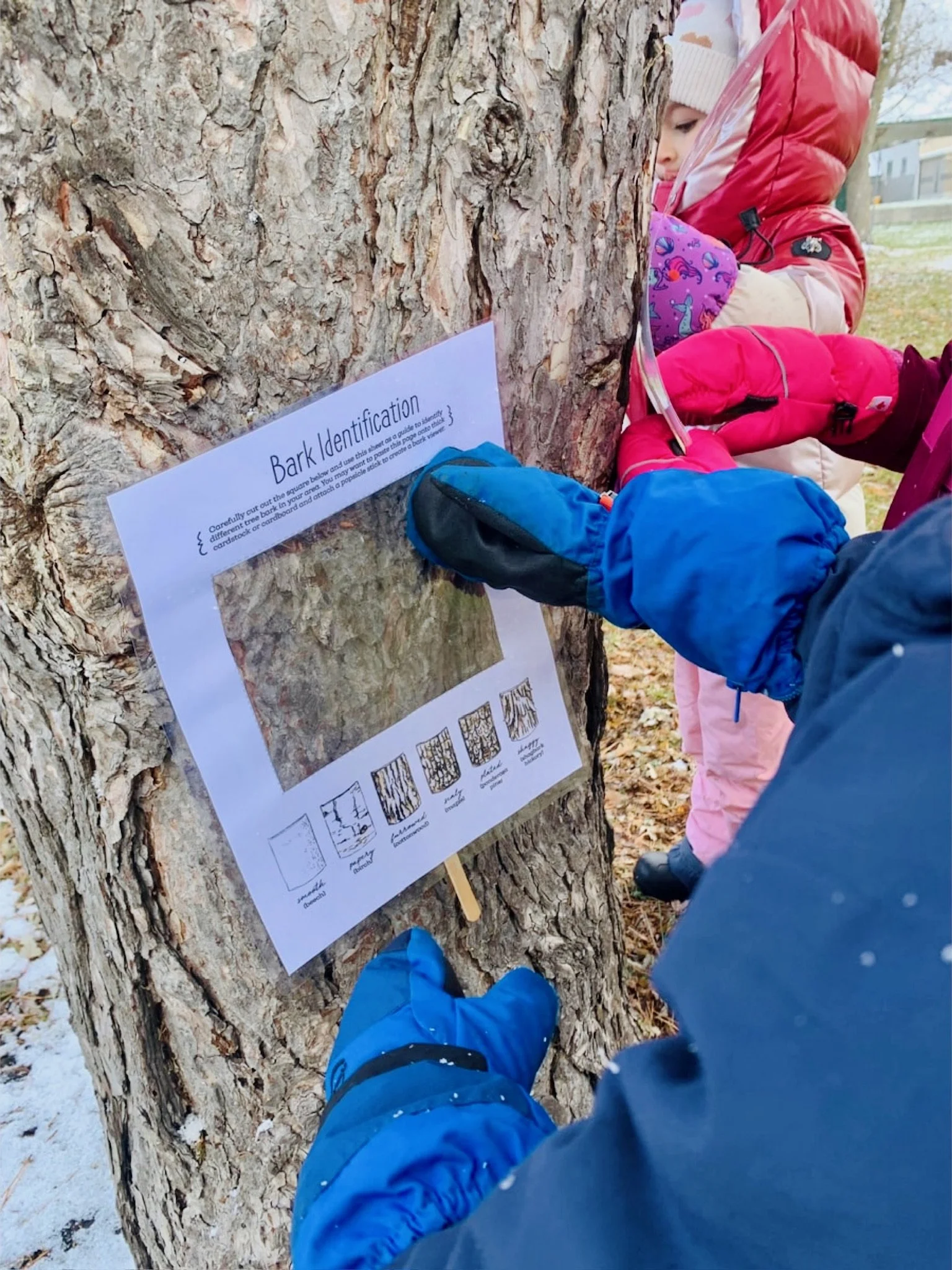 The Village Schoolhouse