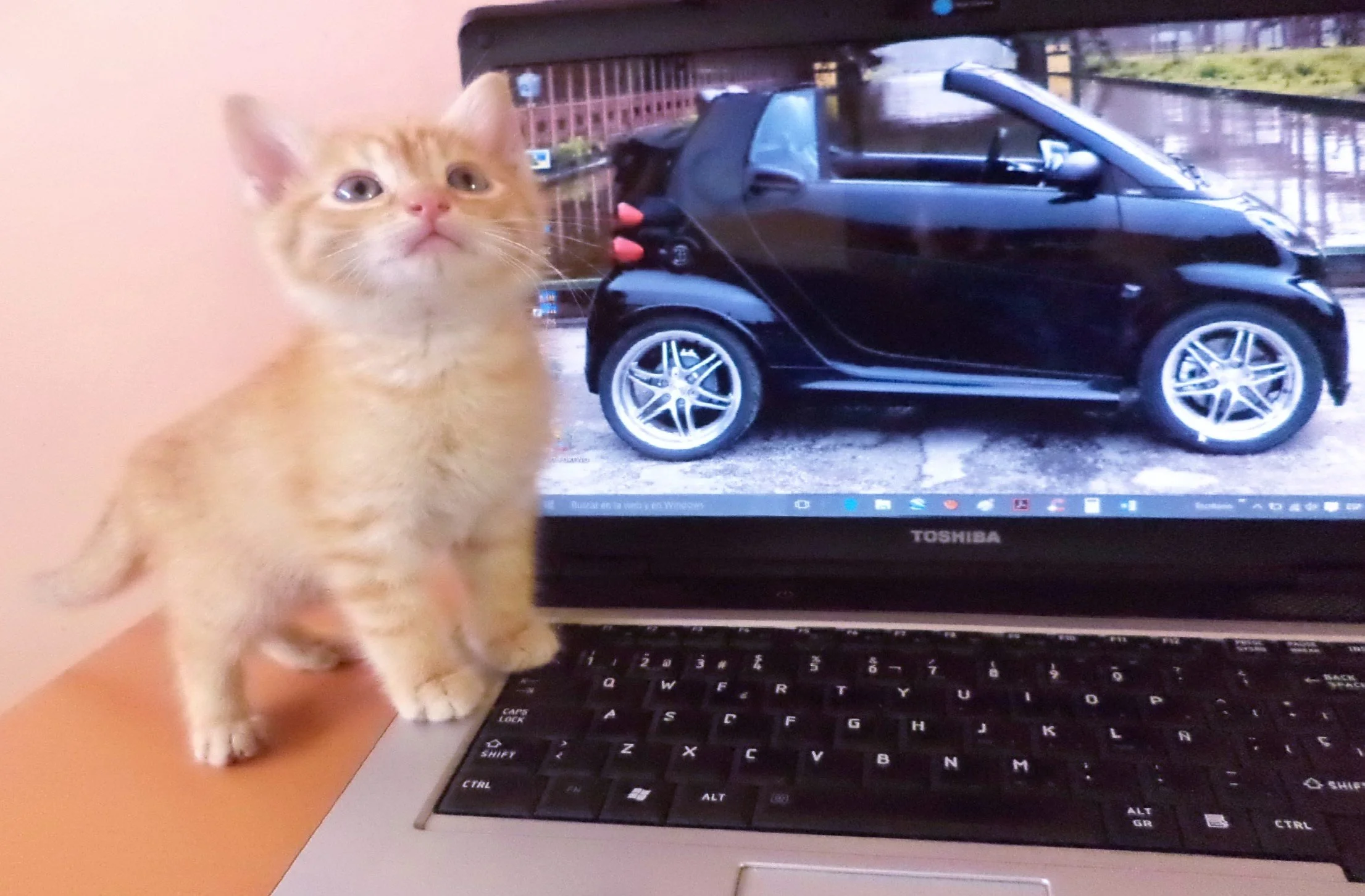 LISTA DE ESPERA DICIEMBRE 2025