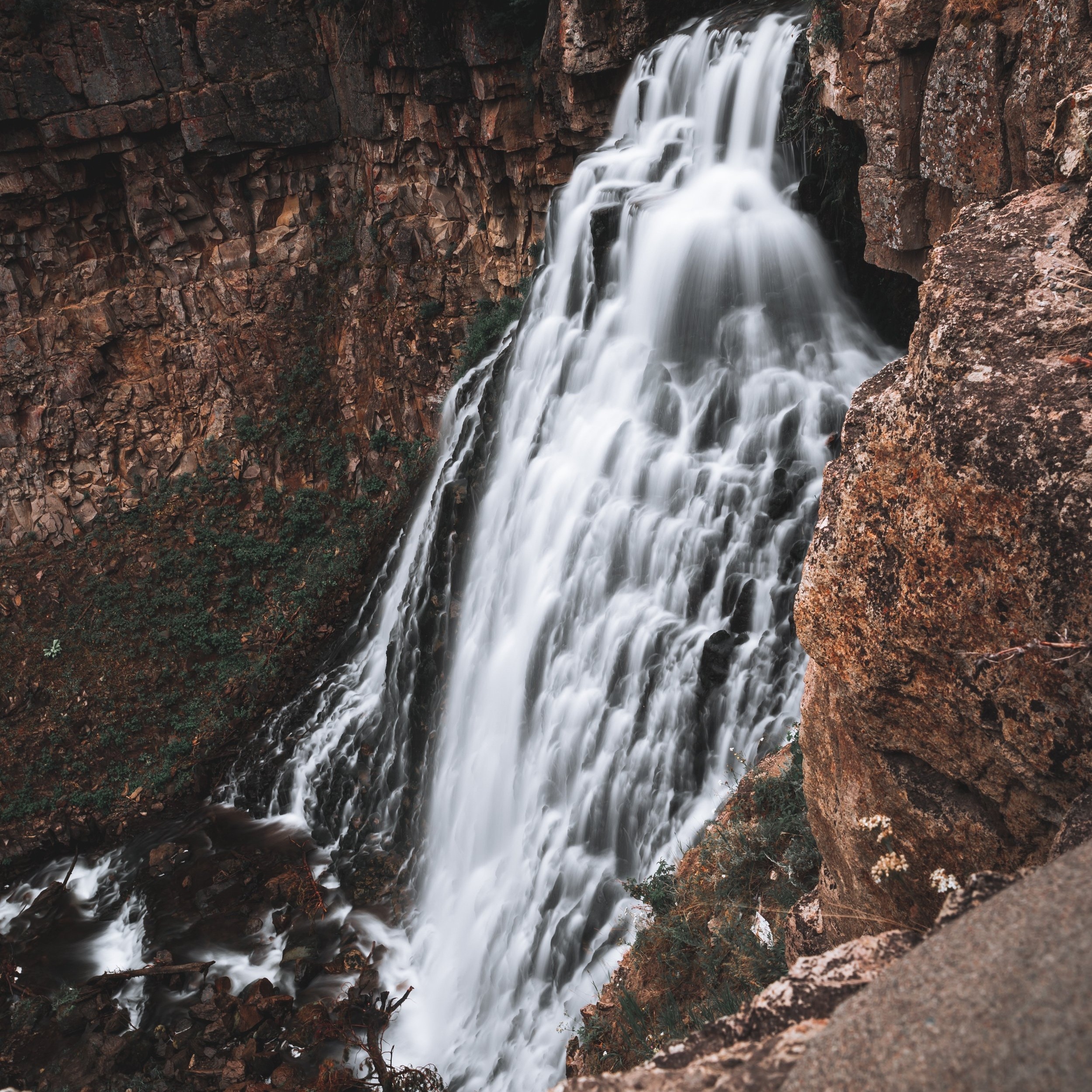 yellowstone.jpg