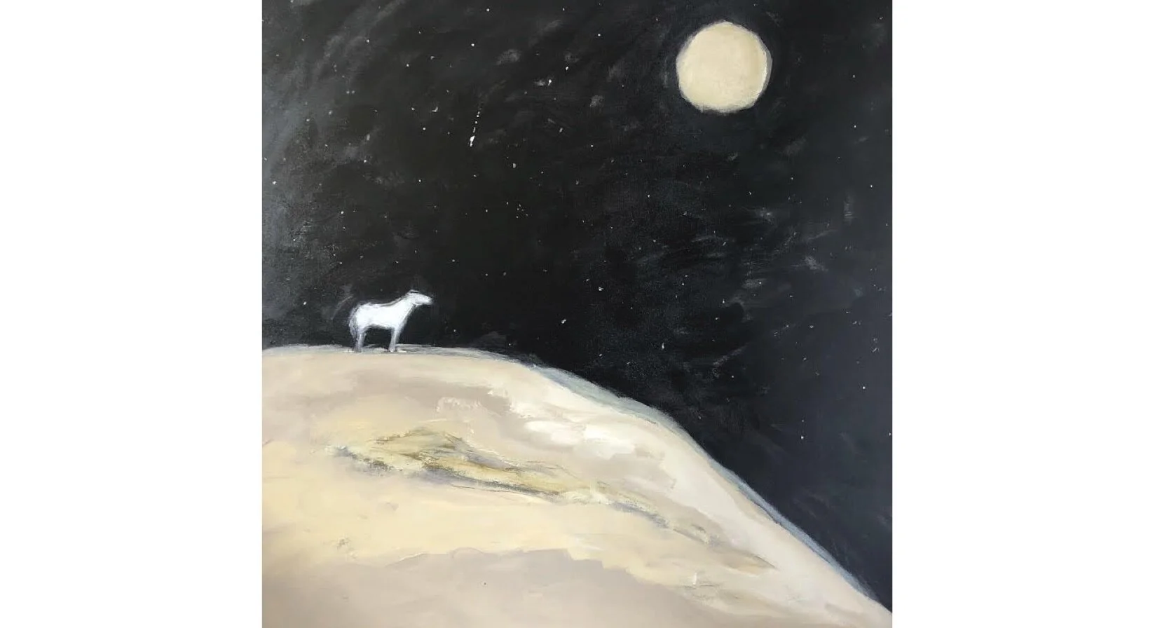 Shooting Star 48" x 48"