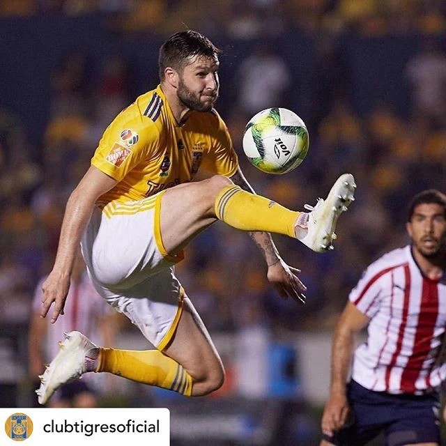 #sportphoto  para Tigres.  Posted @withrepost &bull; @clubtigresoficial ⚽️ @10apg volvi&oacute; al gol en el Clausura 2019. Su m&aacute;s reciente anotaci&oacute;n hab&iacute;a sido en la Jornada 8 contra el @atlasfc; el franc&eacute;s lleg&oacute; a