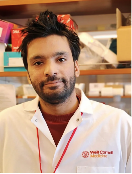Hilal Bashir, Ph.D.