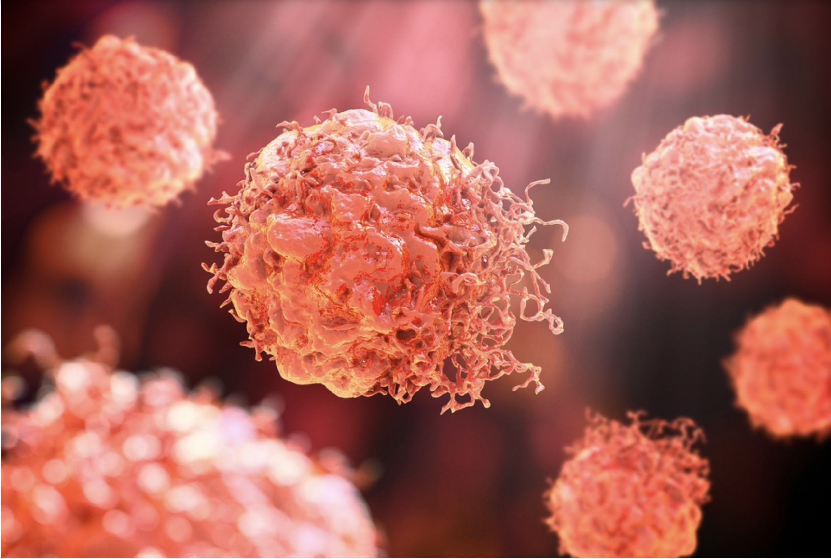 Zeng lab awarded a Starr Cancer Consortium grant with co-PIs Drs. Irina Matei and Mikala Egeblad.