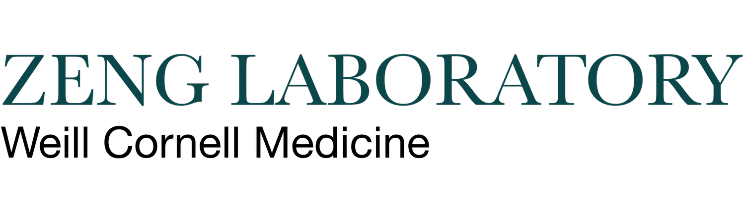 Melody Zeng Lab