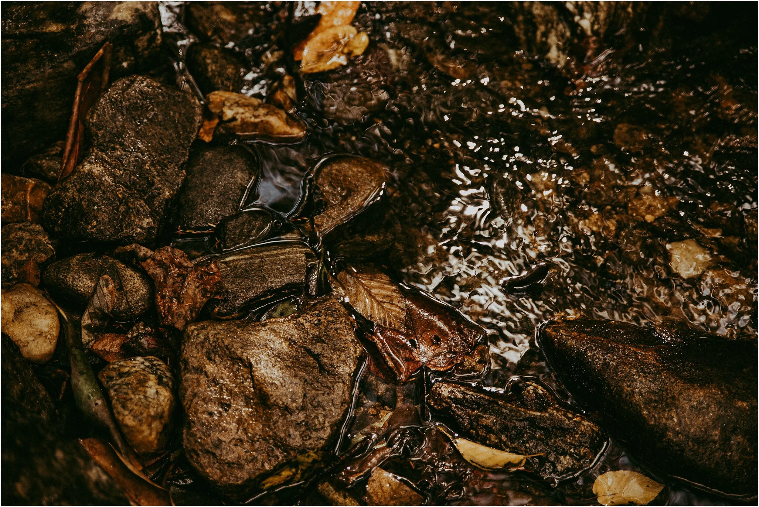 2019-09-27_0001.jpg