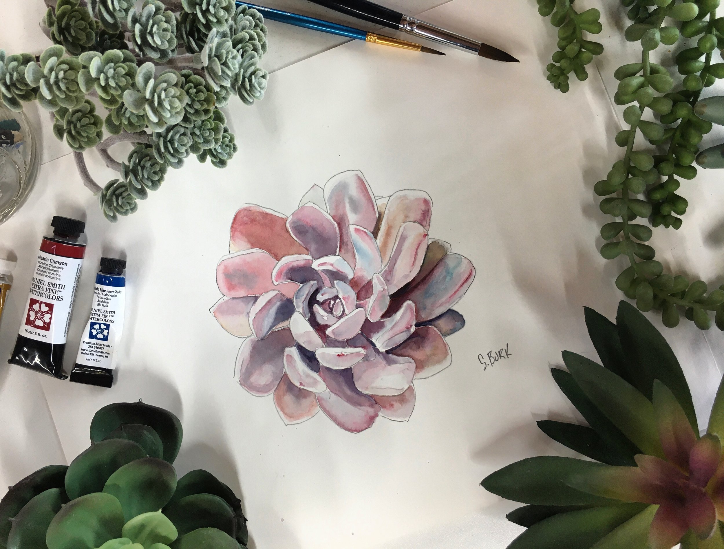 WatercolorSucculent.JPG