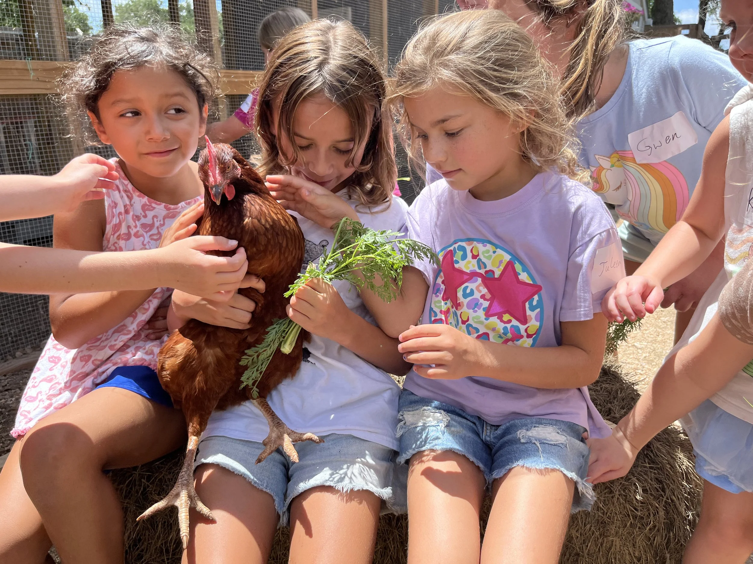 Homesteading Girls Camp (ages 4-13) June 8th-11th