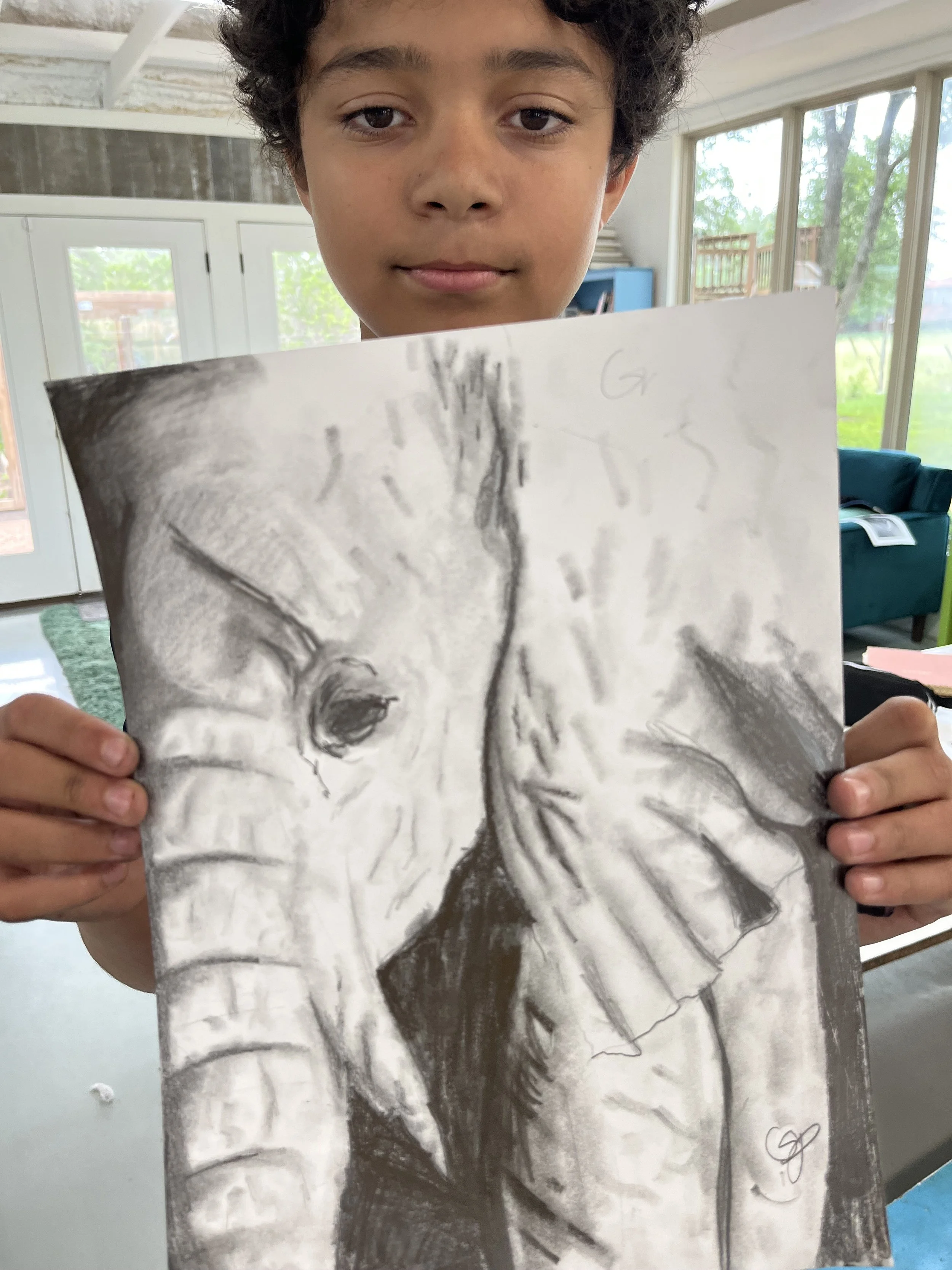 Drawing Camp  (ages 12-16) June 16th, 17th and 18th