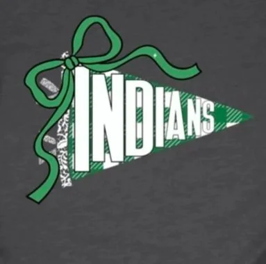 Indians Plaid Pennant DTF