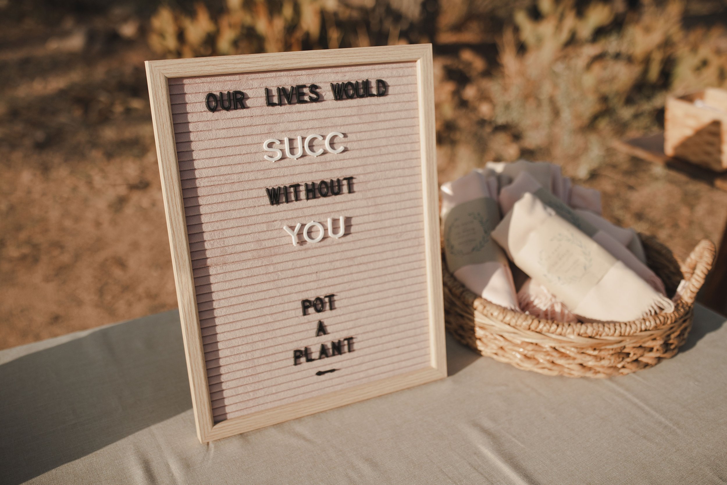 Intimate Desert Wedding at the Superstition Mountains | Arizona Wedding Photographer40.jpg