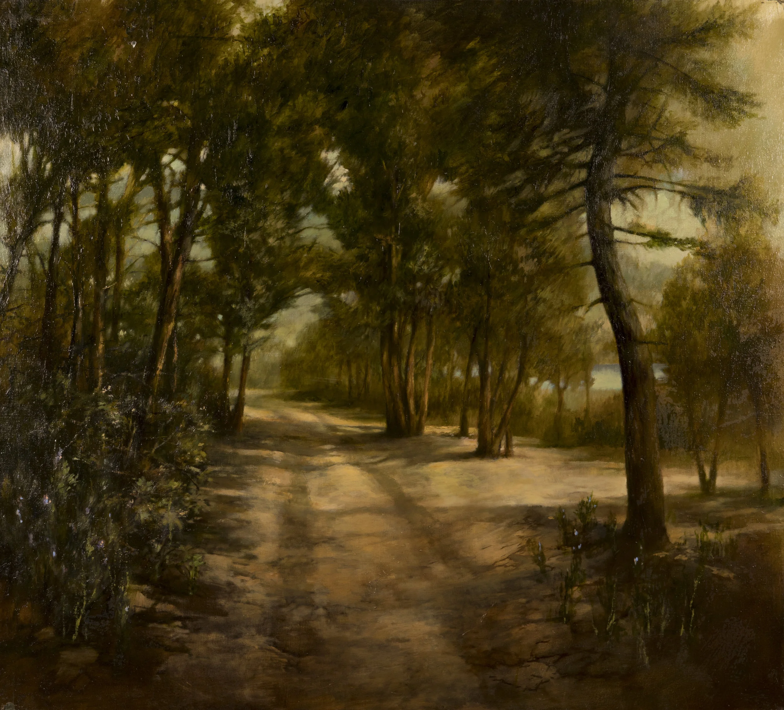 Camino de la playa