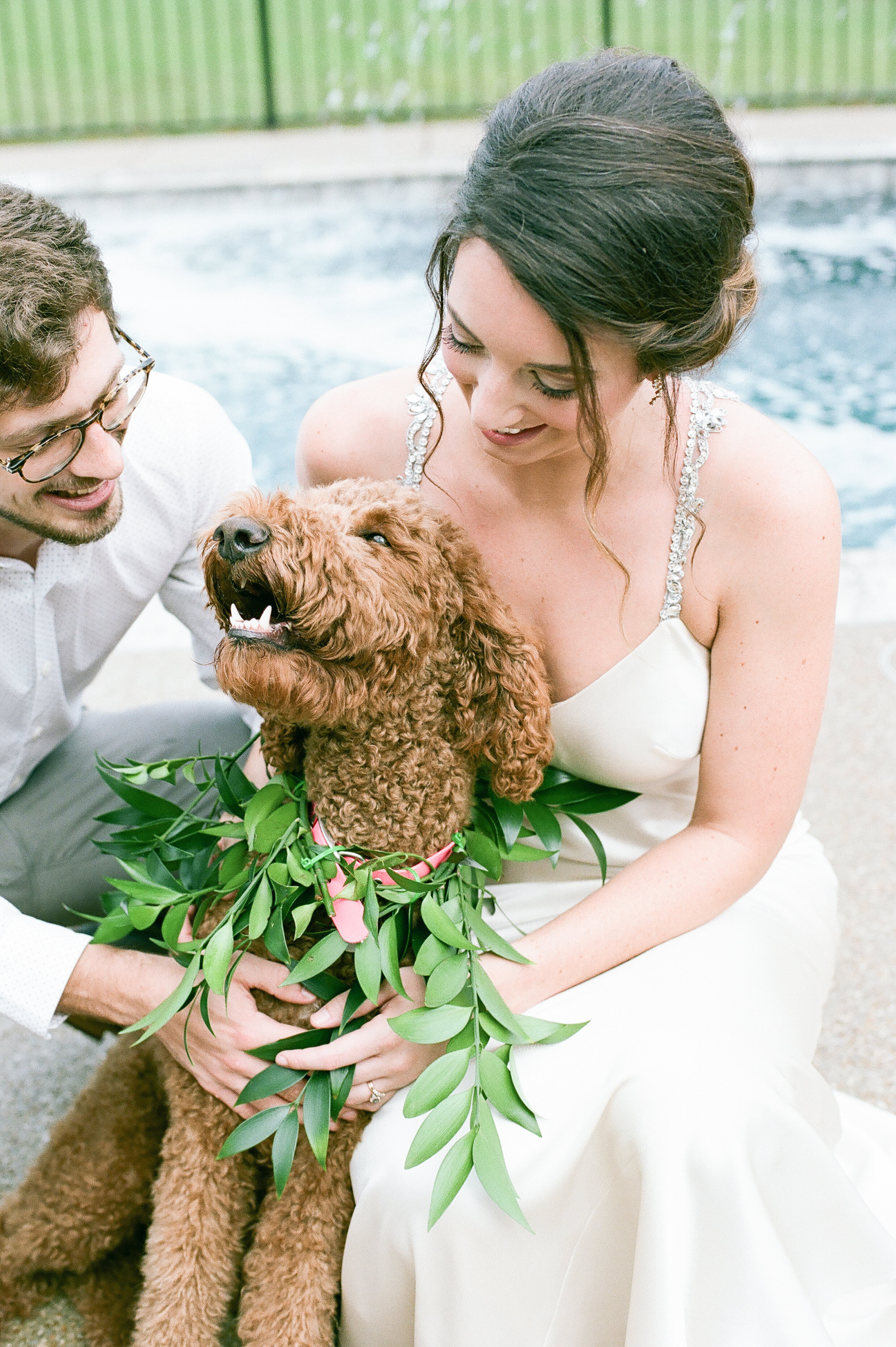 Dog in Wedding ceremony Summer 2020