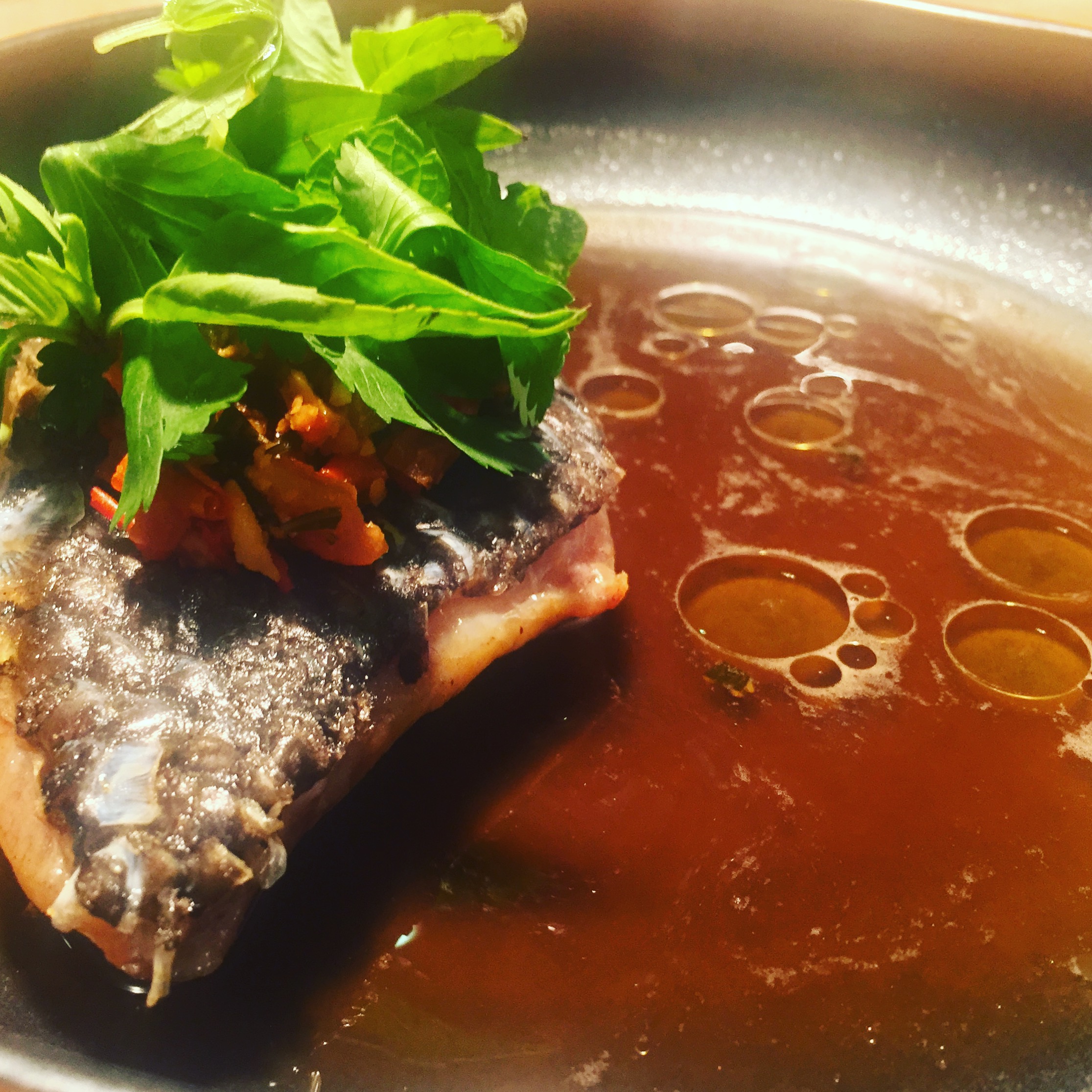 black bass - enhanced.JPG