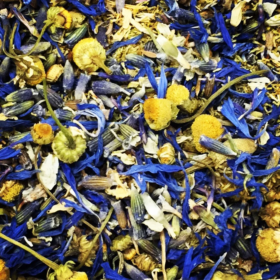 chamomile tea blossoms.JPG
