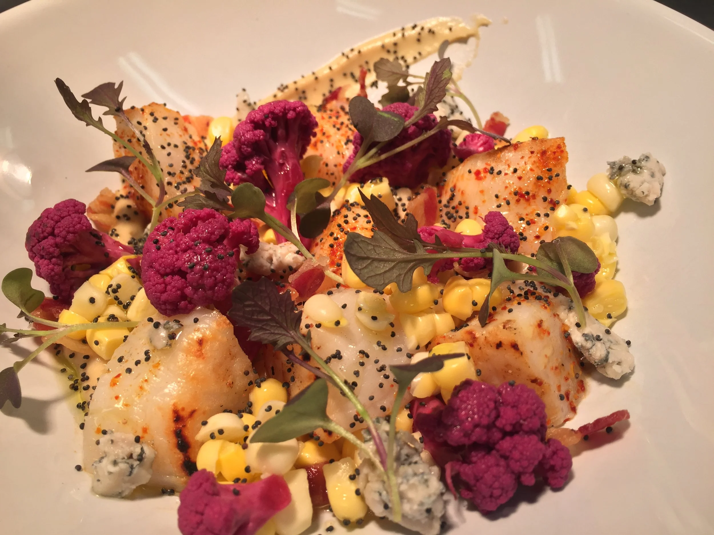 scallop corn le turtle.JPG