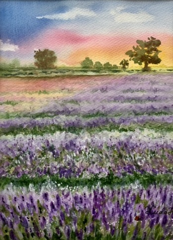   Provence in bloom  Watercolor  12x9in ( 30.5x22.8 cm) 