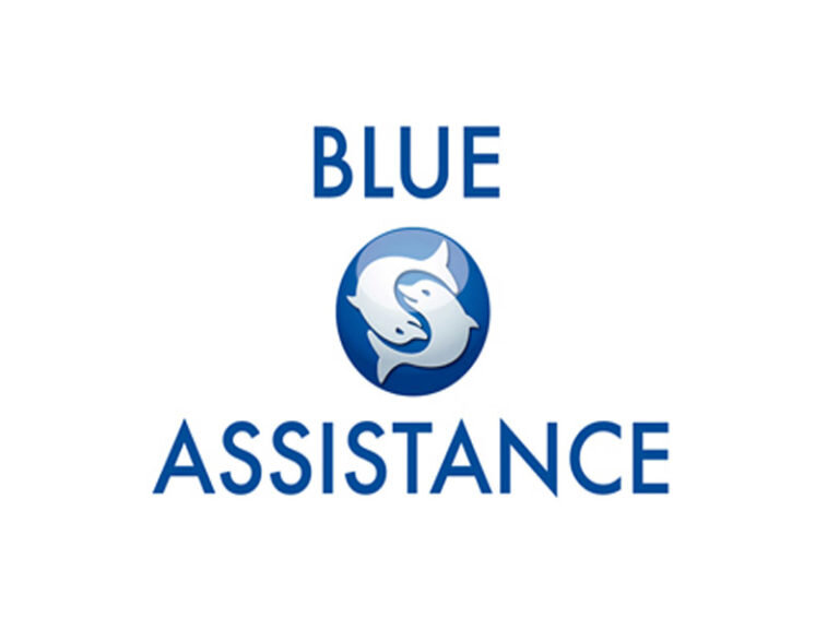 blue-assistance-768x576.jpg