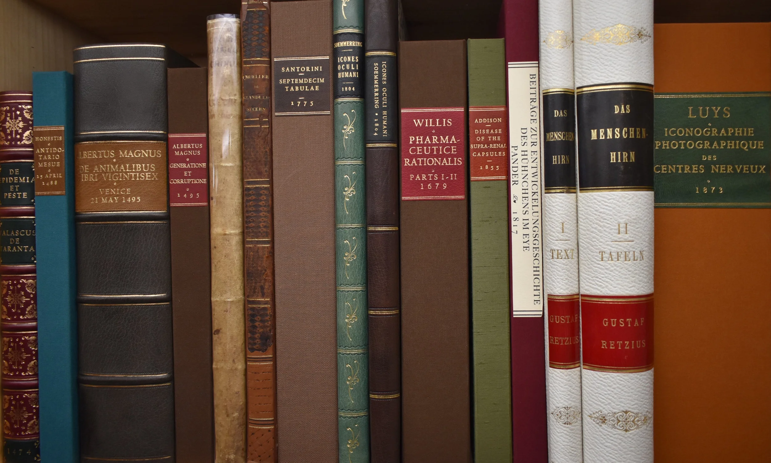 BooksPhoto3.jpg